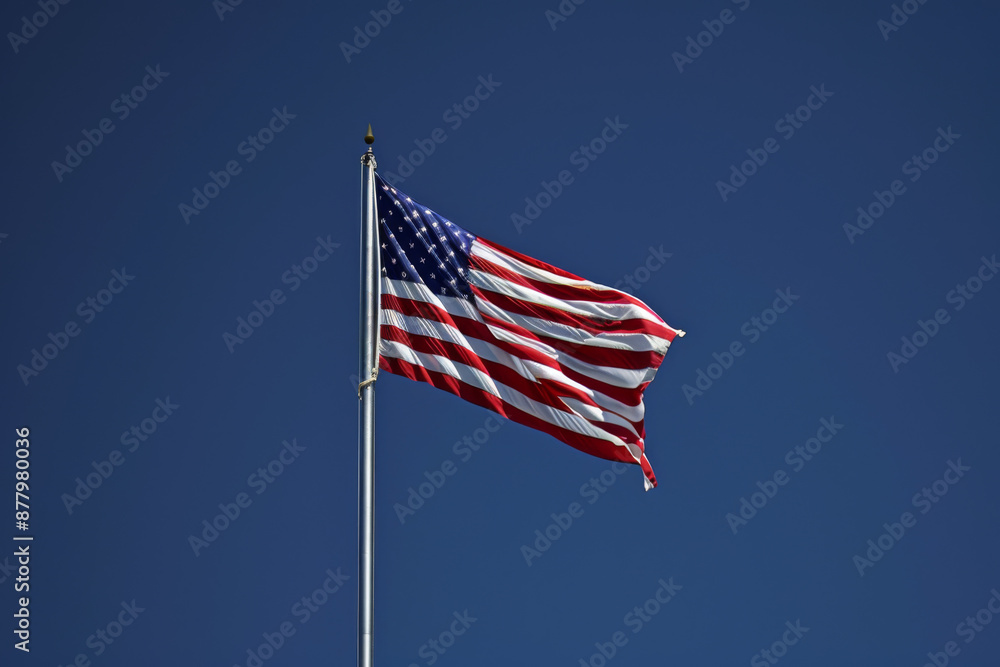 The USA national flag The USA national flag