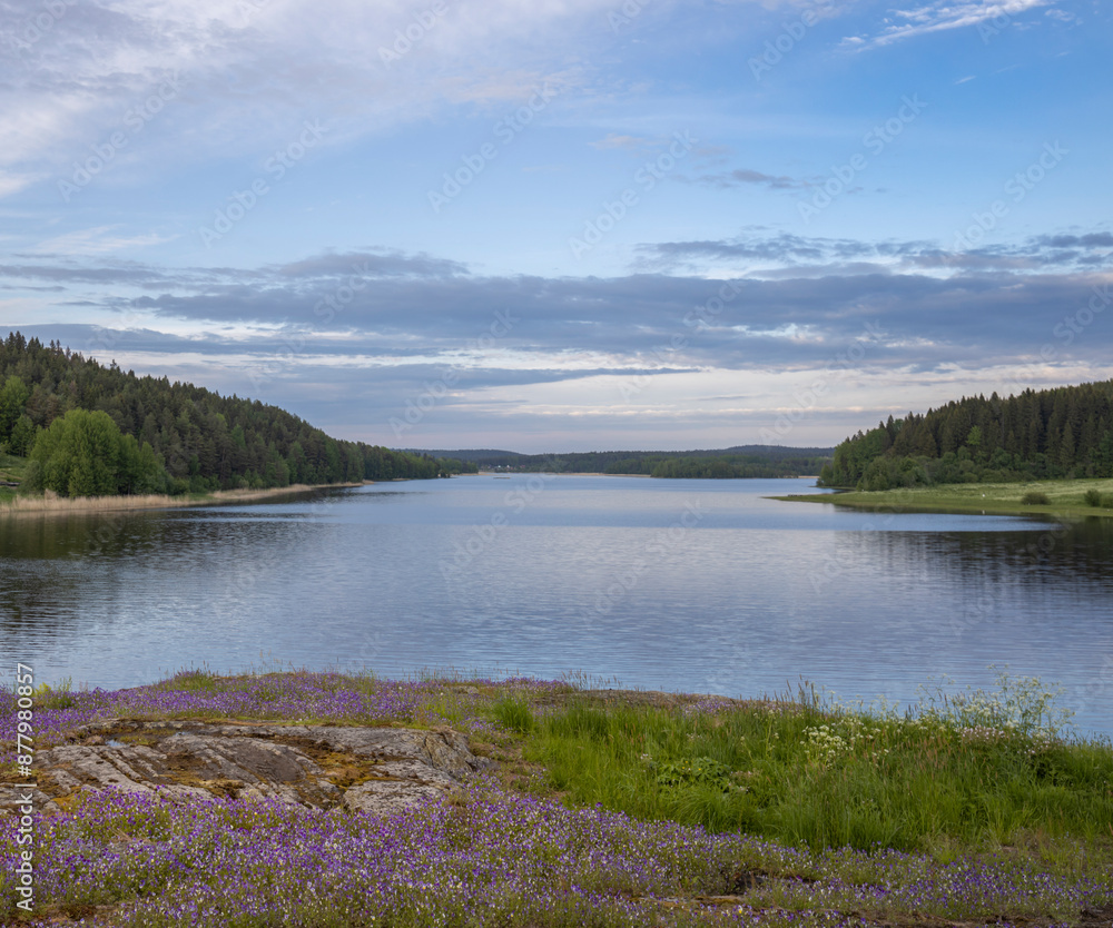 A beautiful lake with a lush green shoreline and purple flowers A beautiful lake with a lush green shoreline and purple flowers