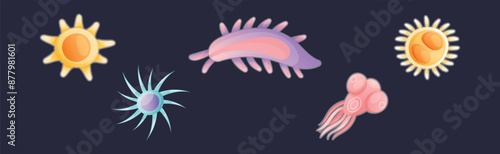 Plankton Diverse Water Organism Free Floating on Dark Background Vector Set
