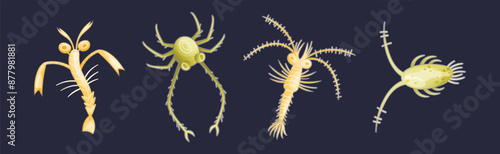 Plankton Diverse Water Organism Free Floating on Dark Background Vector Set