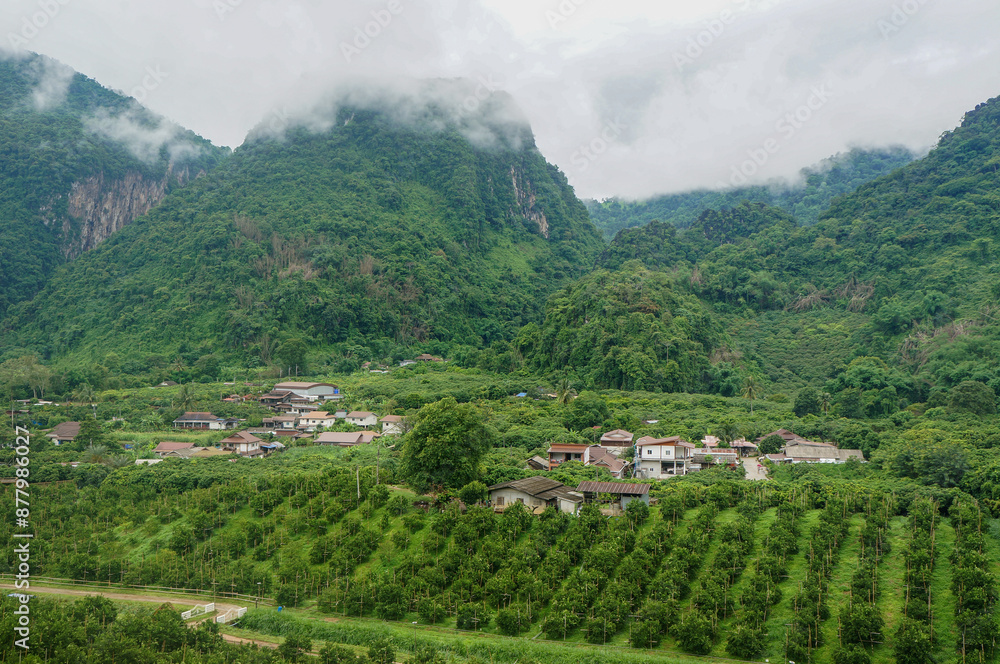 Obraz premium Aerial view of mist, cloud and fog hanging over a lush tropical rainforest
