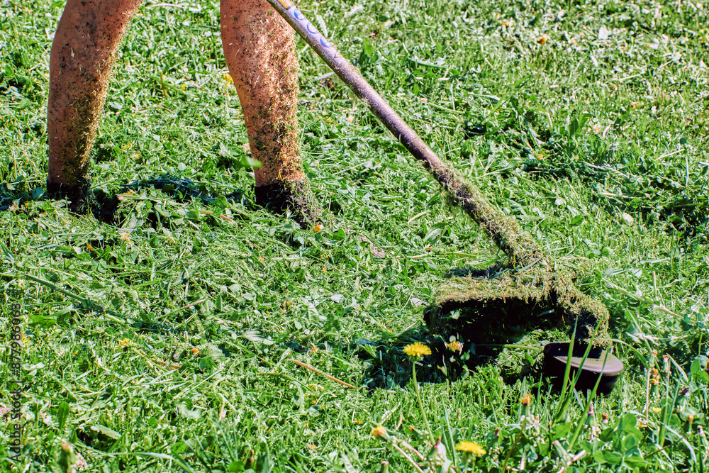Fototapeta premium Greenskeeper uses weed whacker without protecting his skin with protective clothing.