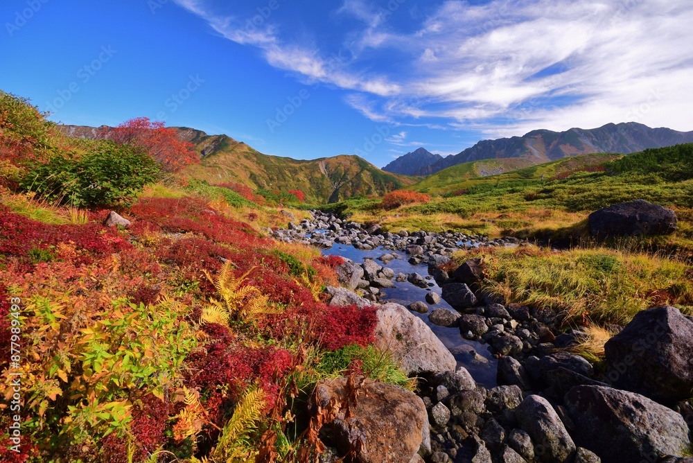 紅葉の立山・天狗平 紅葉の立山・天狗平