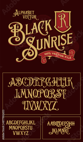 A vintage luxury heritage antique victorian alphabet vector typeset alphabet vector