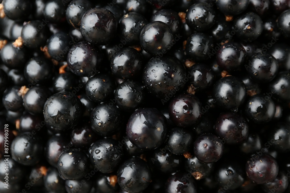 Ripe black currants as background, top view Ripe black currants as background, top view