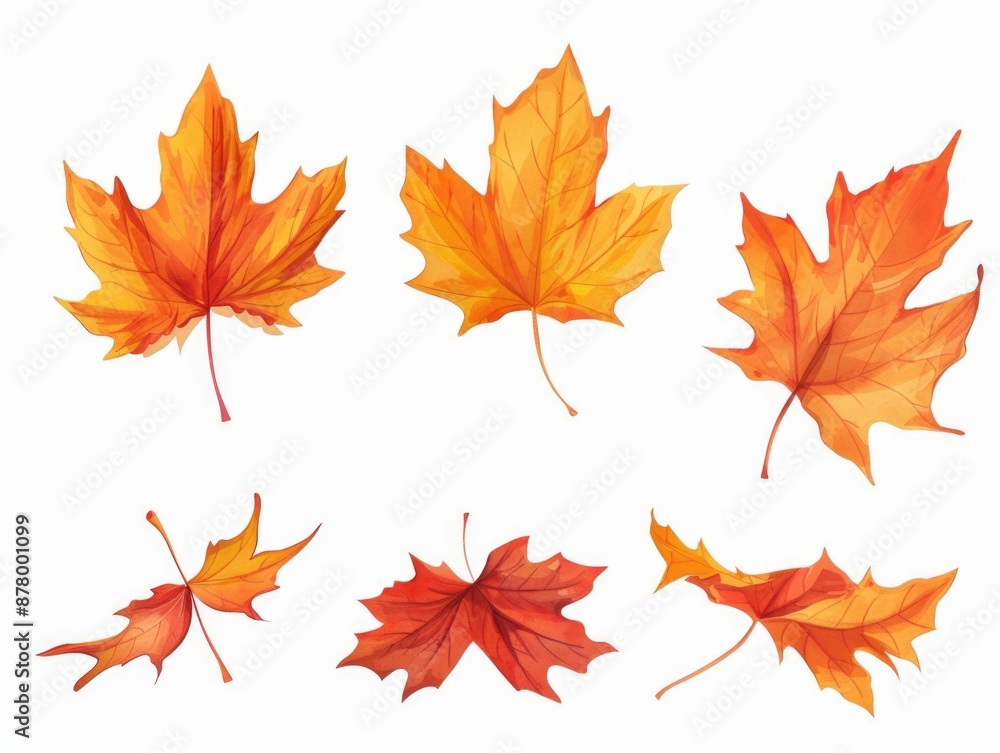 A collection of colorful leaves scattered on a clean white surface A collection of colorful leaves scattered on a clean white surface