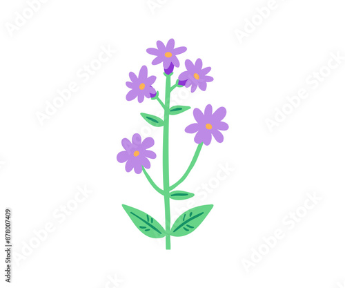 Hand drawn summer flower. Garden, flower garden, plants. Vector illustration in flat style.