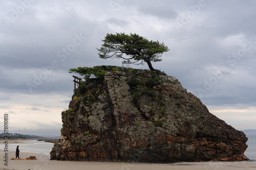 Benten-jima island or Izumo rock with lonely pine tree and torii shinto gate and shrine on Inasa beach in Izumo city, Shimane prefecture, Japan, Asia photo