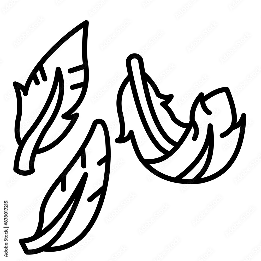 Plumage Icon Plumage Icon