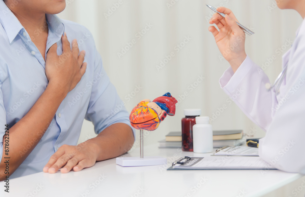 Fototapeta premium Cardiologists consult and treat patients by showing them an anatomical model of the human heart. medical concept