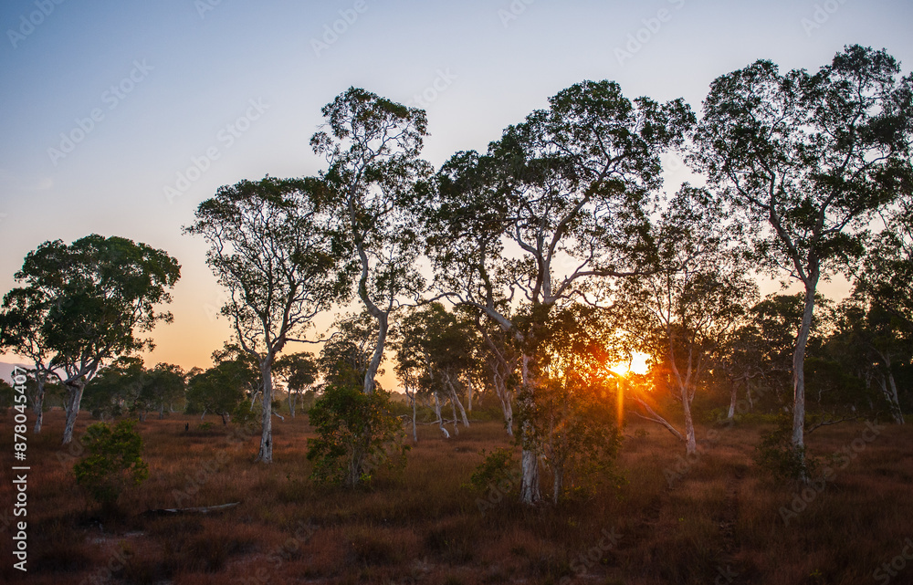 Fototapeta premium Savanna grassland on Phra Thong Island