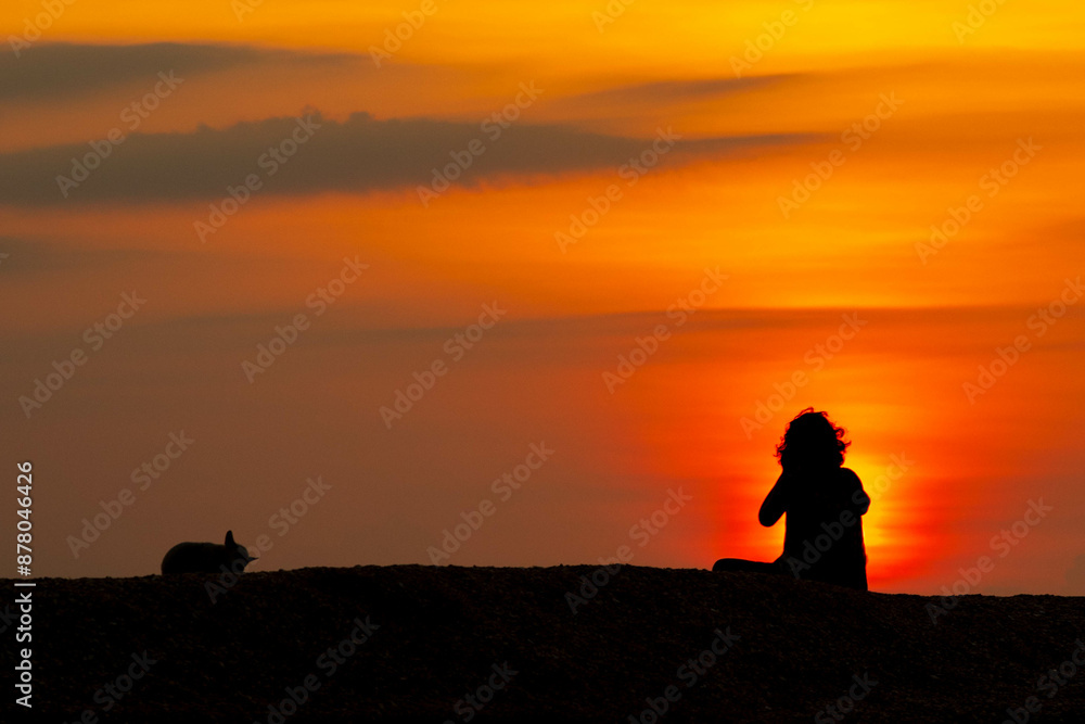 Woman sitting with dog at beach, evening, sunset Woman sitting with dog at beach, evening, sunset