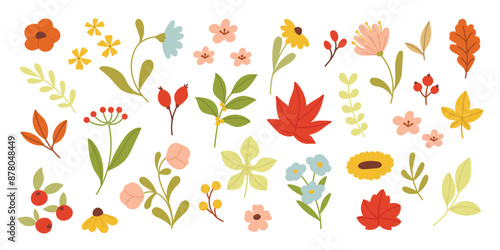 Collection of autumn element vector. Set of flowers, oak, maple leaf, leaves branch, berry, wildflower. Hand drawn of autumn foliage design for decorative, print, graphic, card.
