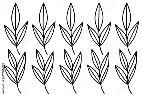 Willow Leaf line art visual creation