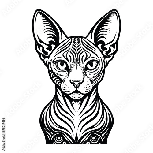 Hairless Sphynx Cat Hand Drawn Engraved Ink Line Art Sketch Illustration