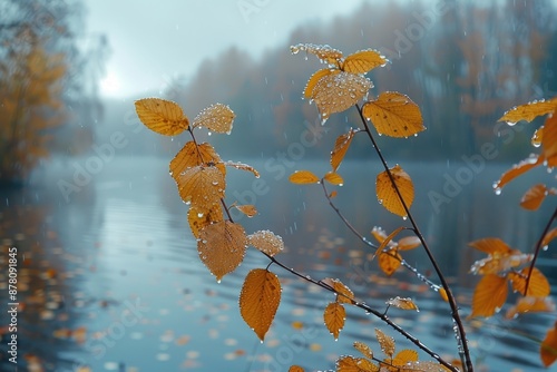 Dried Up Fall Leaves professional photography