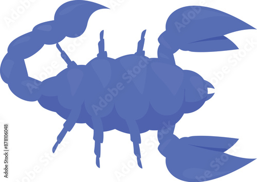 Blue scorpion spreading its claws and tail with stinger up in attacking position, dangerous insect, wild nature, predator animal