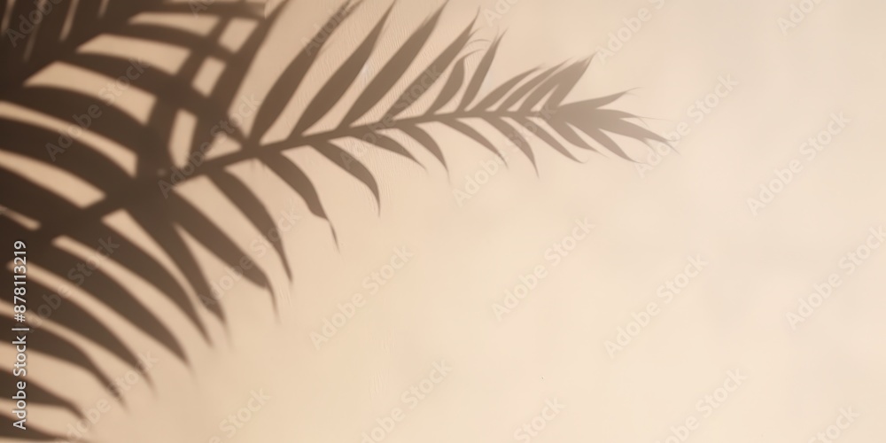 Palm Leaf Shadow on a Wall Palm Leaf Shadow on a Wall