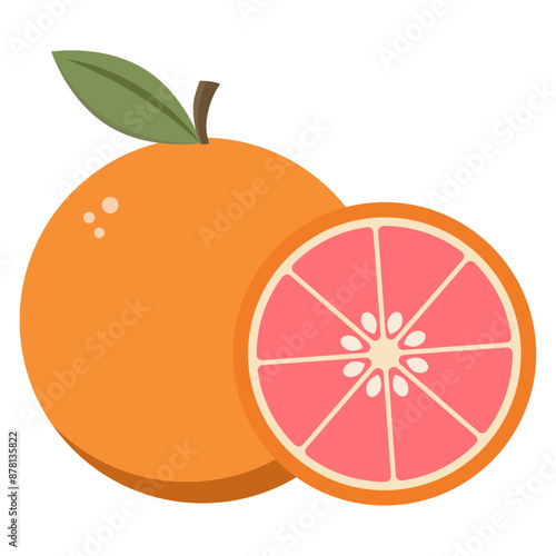 Grapefruit in Flat Illustration Isolated on White Background