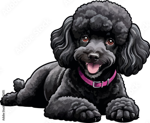 Black Poodle Dog Clipart – Perfect for Pet Lovers