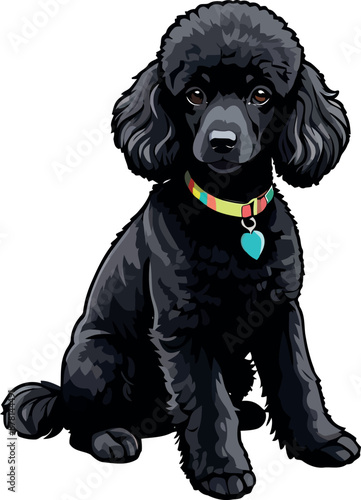 Stylish Black Poodle Dog Clipart – Vector Illustrations