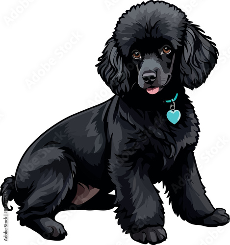 Adorable Black Poodle Dog – Beautiful Clipart Illustration