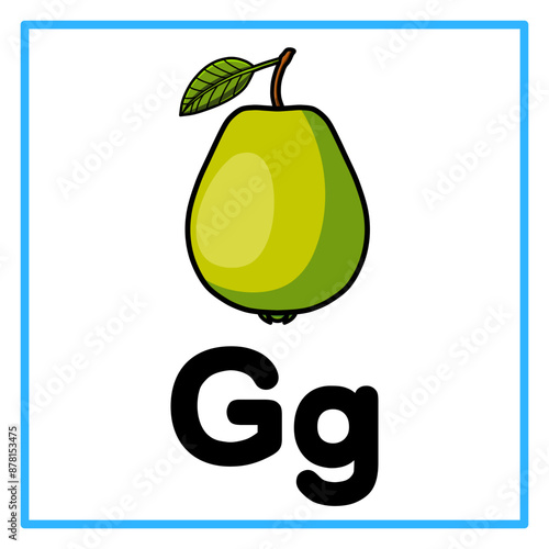 guava alphabet g illustration