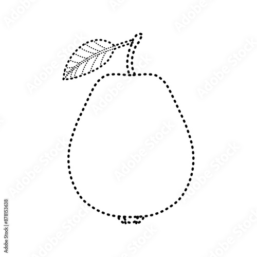 tracing guava illustration