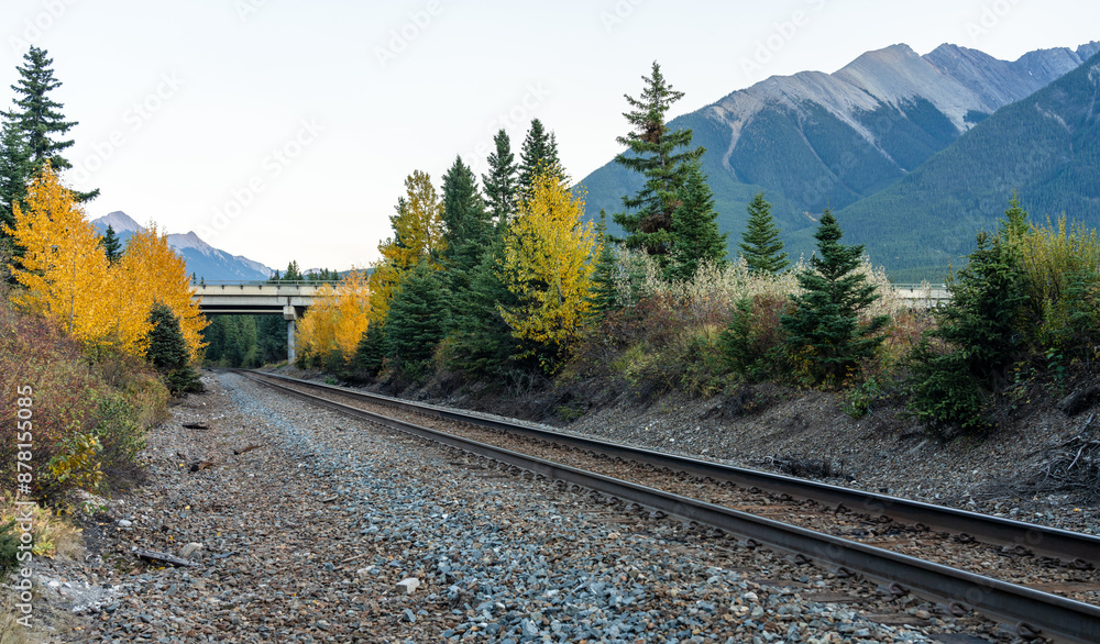 Fototapeta premium Railway scenery in autumn foliage season. Banff National Park, Canadian Rockies, Alberta, Canada. Colorful trees in orange, yellow, golden colors.