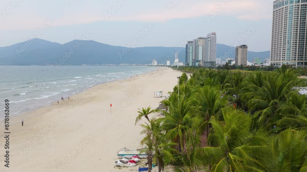 Coconut Trees along Da Nang Beach Aerial Drone Shot, Miami of the East, Mye Khe Beach, Red Flag no Swimming Coconut Trees along Da Nang Beach Aerial Drone Shot, Miami of the East, Mye Khe Beach, Red Flag no Swimming