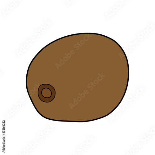 flat kiwi fruit llustration