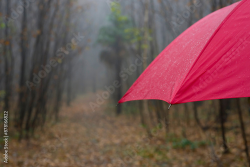 Wallpaper Mural Forest Path with a Red Umbrella in a Rainy Autumn Day in Ascona, Ticino, Switzerland. Torontodigital.ca