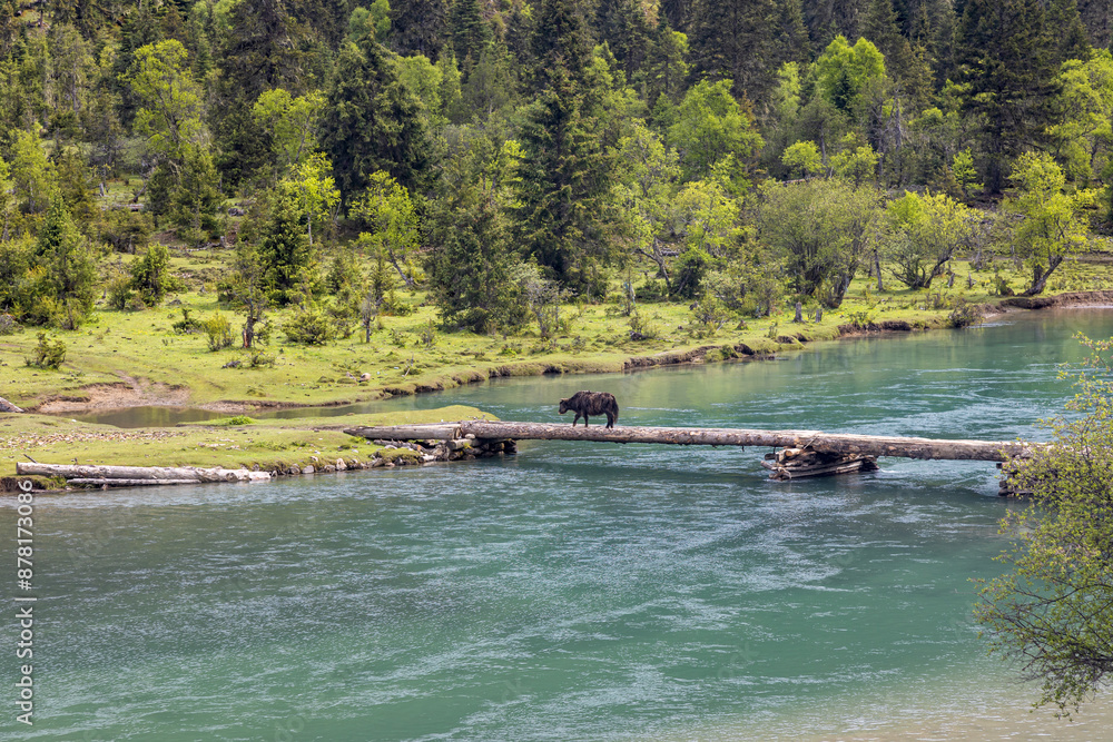 Fototapeta premium Natural Scenery of Basum Tso in Tibet