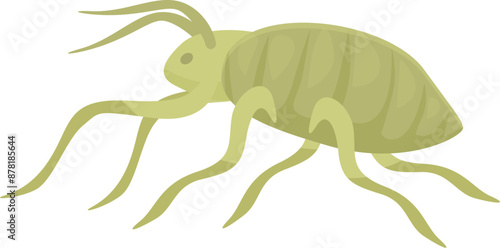 Green louse insect is crawling on a white background