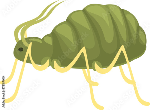 Green aphid insect pest crawling side view isolated on white background