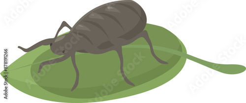 Cartoon image of a large gray beetle with splayed legs standing on top of a bright green leaf