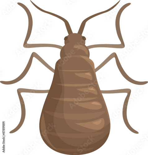 Big brown bedbug is showing its six legs and two antennas