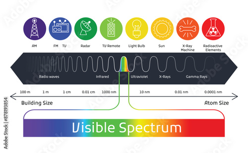 Spectrum wavelength. Visible spectrum color range. Educational physics light line. Wavelengths of the visible part of the spectrum for human eyes