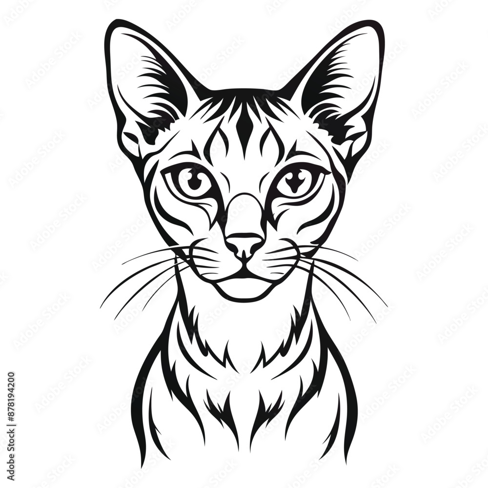 Abyssinian Cat Image vector isolated on white background