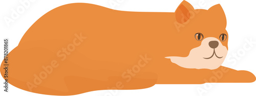 Red cat lying down stretching paws on white background