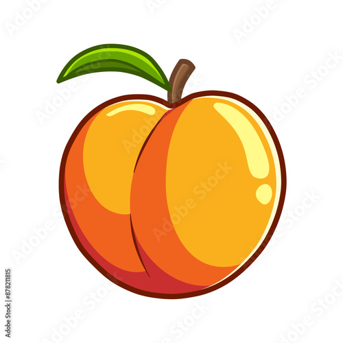 fresh nectarine illustration