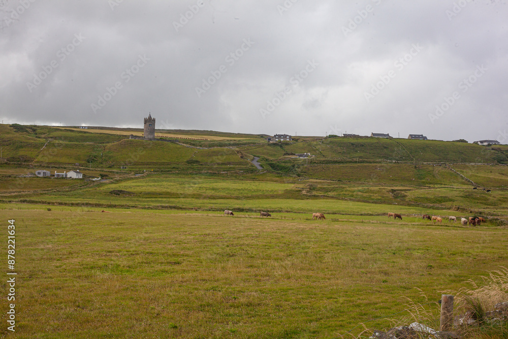 Fototapeta premium landscape with cows and clouds