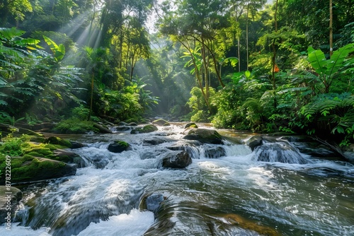 Sunlight filtering through trees onto river in tranquil and serene forest landscape