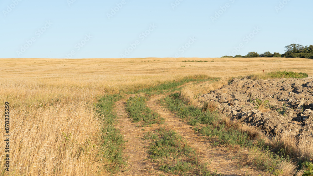 rural landscape with meadow and road leading to the horizon rural landscape with meadow and road leading to the horizon