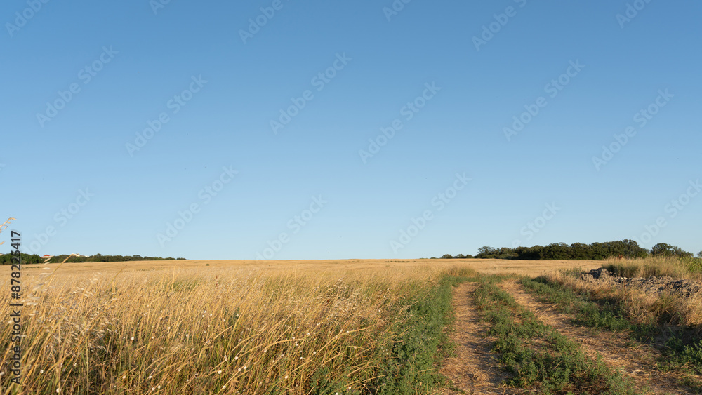 rural landscape with meadow and road leading to the horizon rural landscape with meadow and road leading to the horizon