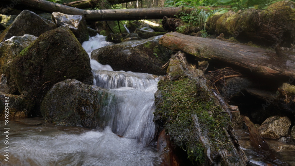 Fototapeta premium Zakopane