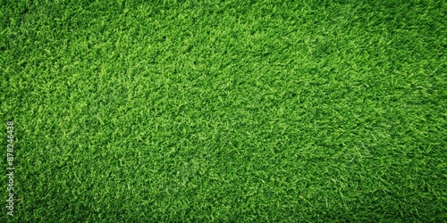 Green grass texture background with a top view, perfect for a green lawn, grass, texture, background, top view, green, lawn