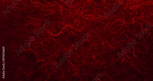 Chaotic Threadworms In Red Light. Parasitic Worms. Microscopic. closeup shot