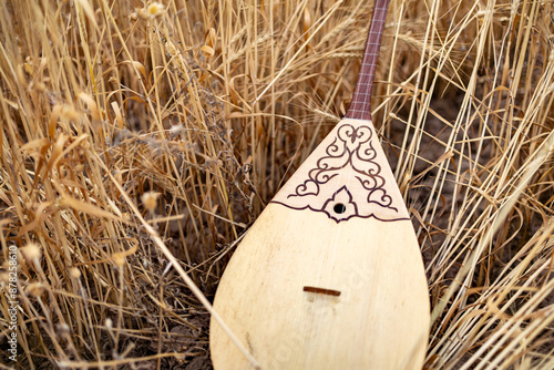 A dombra, the traditional Kazakh musical instrument, rests amidst the golden wheat of the Kazakh steppe. | Казахский национальный музыкальный инструмент домбра. photo