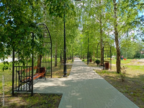 alley with benches in the park of a small town